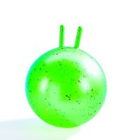 SKIPPYBAL GYMNIC HOP 45CM,HELDER MET KLEURSTIP