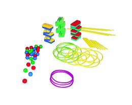 KIT ACTIPLOT GYMNOVA REF 0425