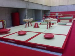 SPECIALE MAT VOOR PADDENSTOEL GYMNOVA REF 1399