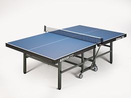 TAFELTENNIS-NETPOSTCOMBINATIE 'BOSAN VAST'