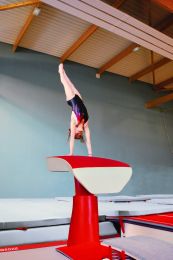 SPRINGTAFEL VALKUIL GYMNOVA REF 3416