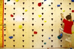 MULTIFUNCTIONELE WAND (MUURBEVESTIGING) 2,4M X 1M